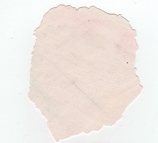 paint chips