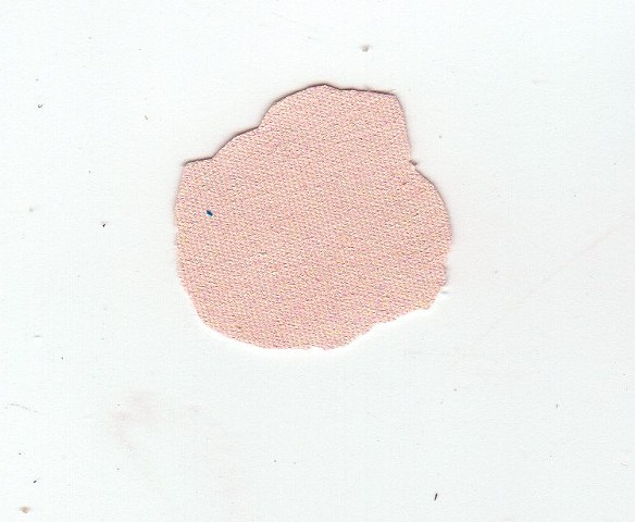 paint chips
