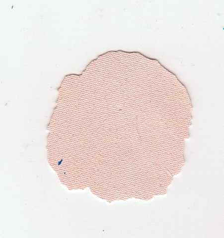 paint chips