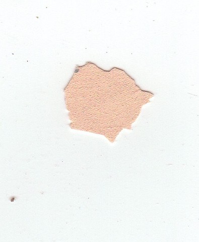 paint chips