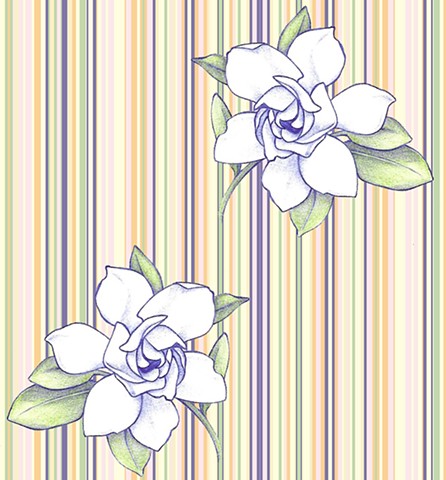 Gardenia Stripe
