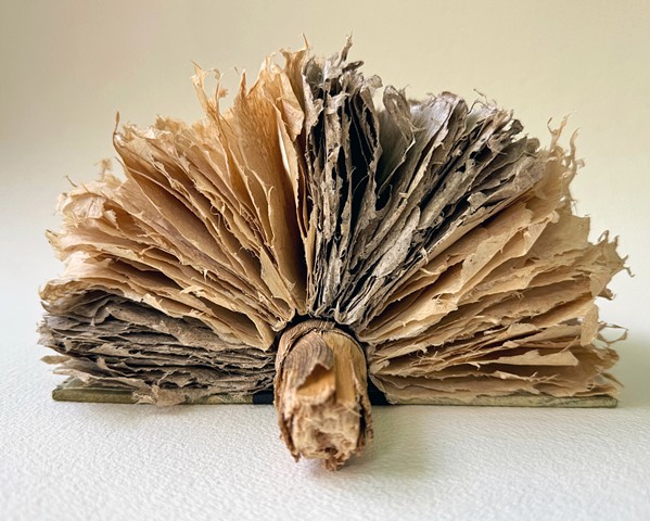 BOOK ARTS