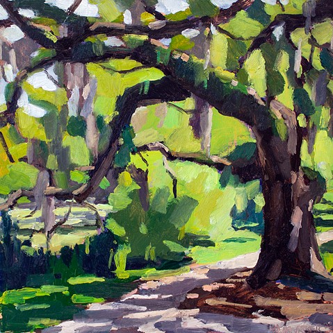 Live Oak Passage, 12x12in, oil on panel, sold