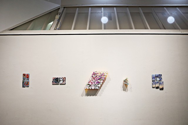 Medicine Cabinet Exhibition Installation, The ArtsCenter Nicholson Gallery, February 2019, Photo Credit: Juli Leonard