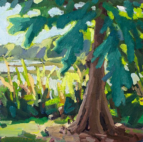 Cypress Shade, 12x12in, oil on panel, sold