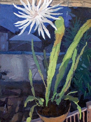 Night Blooming Cereus, 16x12in, oil on panel, sold