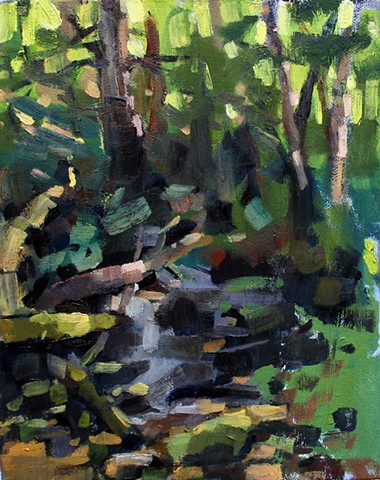 Mr. Turtle Creek, 8x10in, oil on canvas, sold
