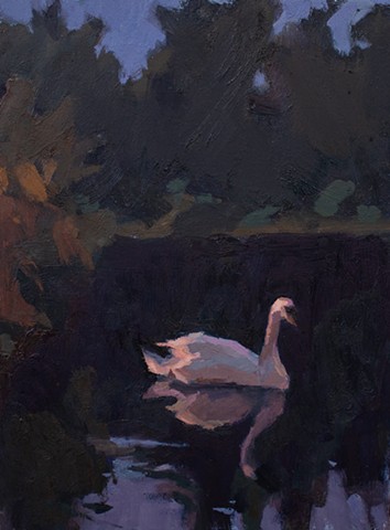 Swan, 12x9in, oil on panel, sold