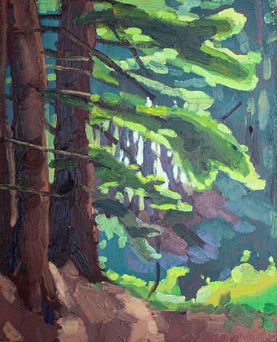 Redwoods, 10x8in, oil on panel, sold