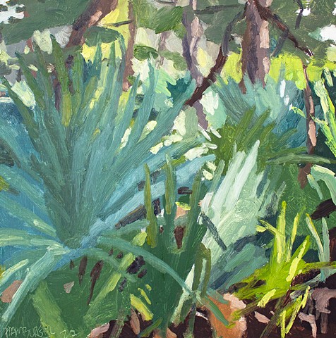 Palmetto Forest, 12x12in, oil on panel, sold