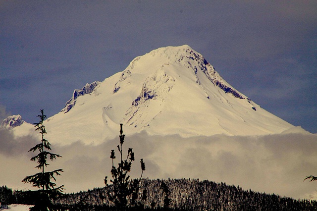 mt hood