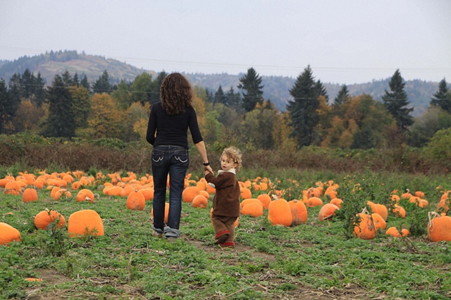 pumpkin patch