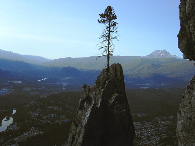 angel's crest