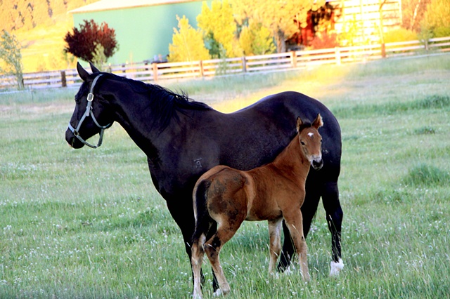 mother and baby