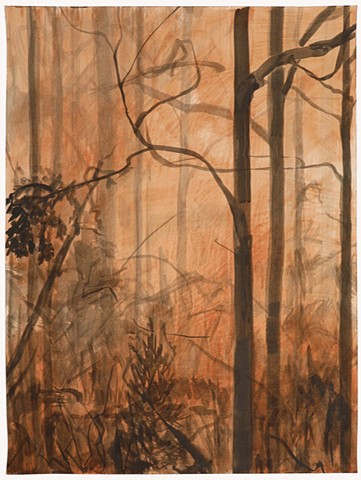 Forest Interior 6