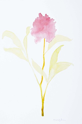 Peony III