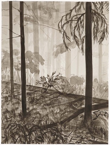 Forest Interior 5