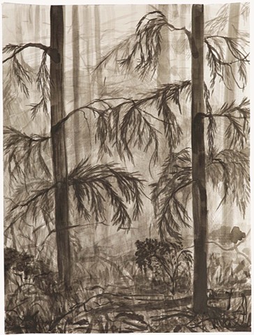Forest Interior 4