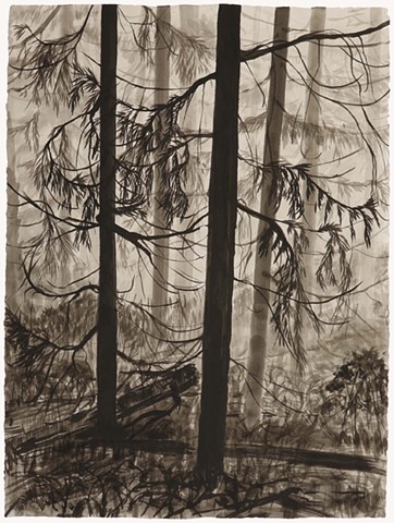 Cate Brigden