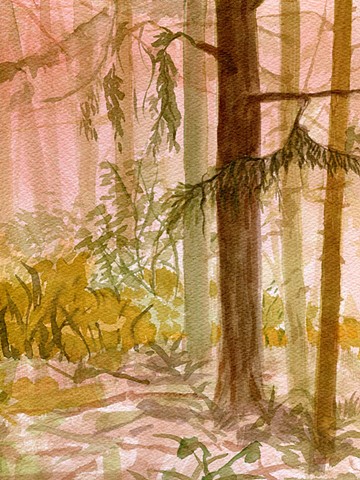 Field Notes 6.2026