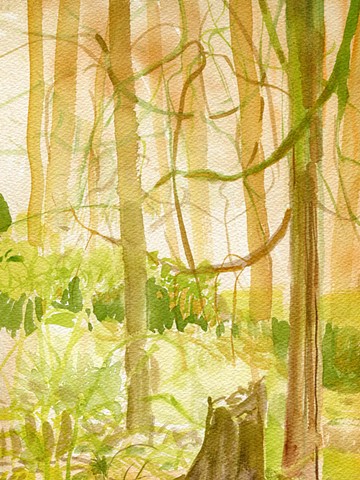Field Notes 6.2026