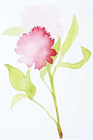 Peony I