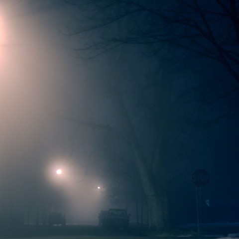 foggy night walk