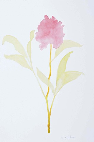 Peony III