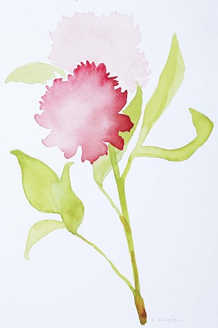 Peony I