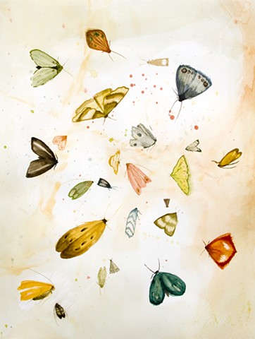 a gathering of moths, watercolor, pencil on paper