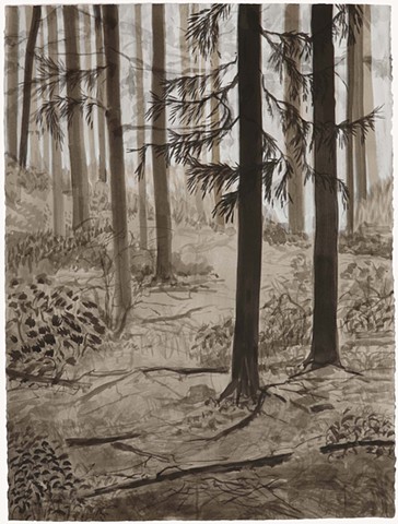 Forest Interior 3