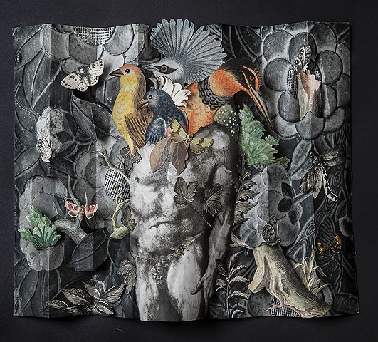 Doug Stapleton: Collages