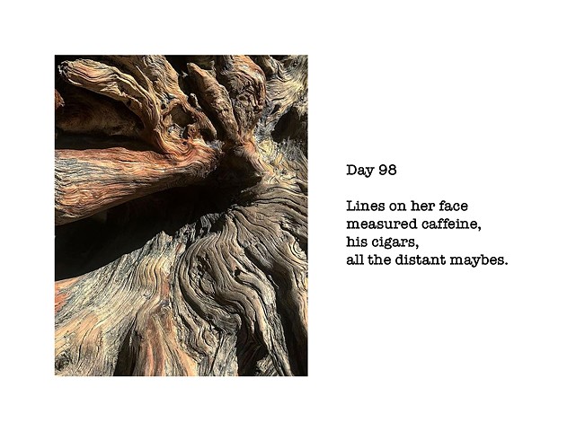 Day 98