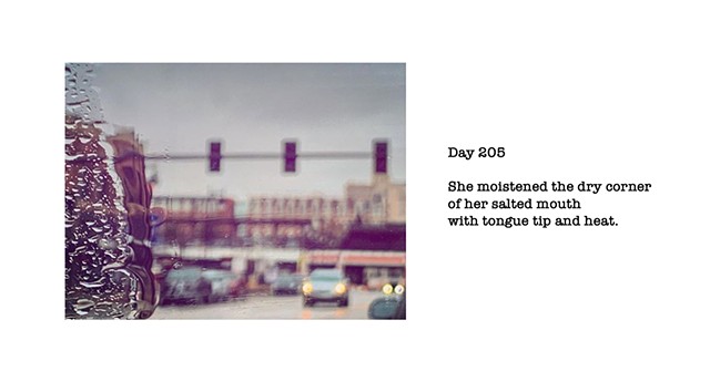 Day 205