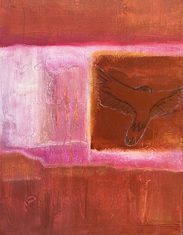 Cathartes Aura:  Turkey Vulture