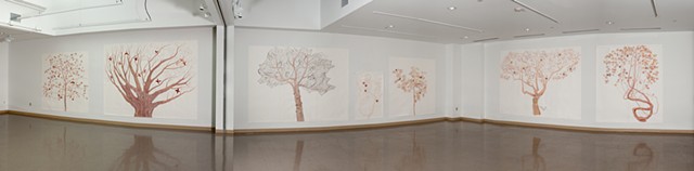 The Orchard, Installation view