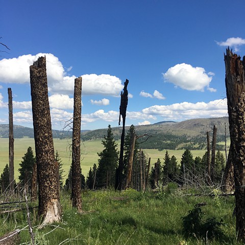 sculptures of fire and sky