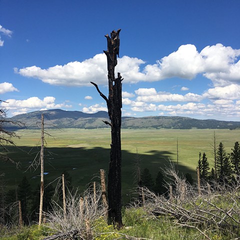 sculptures of fire and sky