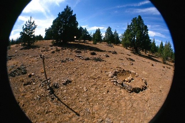 coyote's grave