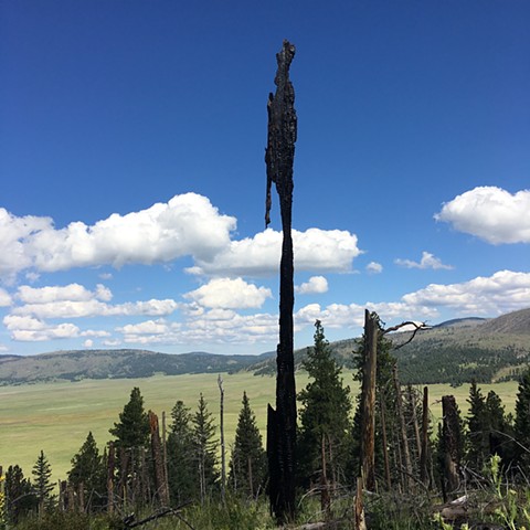 sculptures of fire and sky