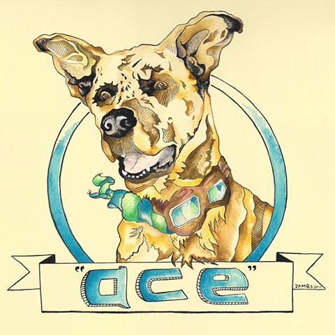 dog portrait ACE