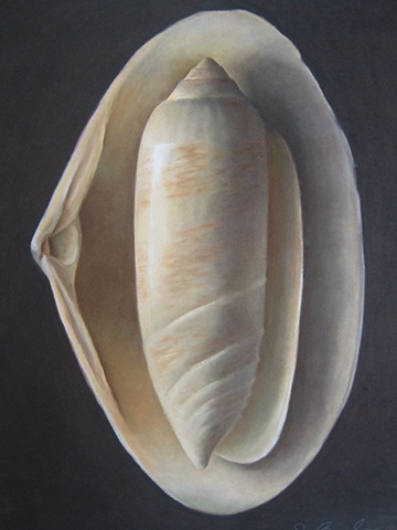 Chrysalis