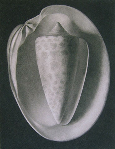 CHARCOAL 2007 - 2009