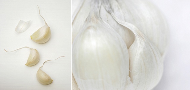 Slowfood Project, Garlic