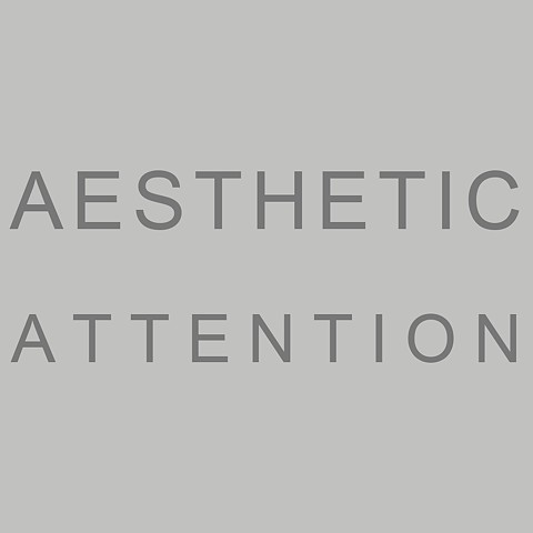 Aesthetic Attention