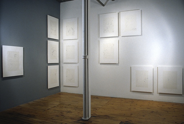Installation view: 12 Dust Prints (from the Sfumato series)