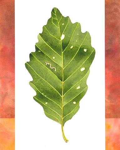 Green Leaf with holes and Autumn red/orange border