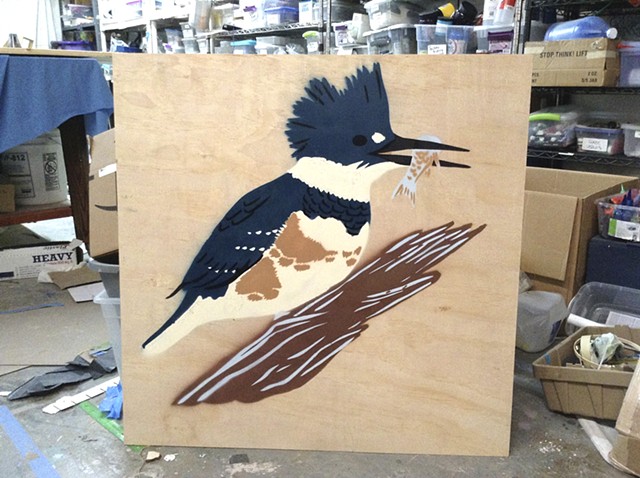 Belted Kingfisher on Wood Panel