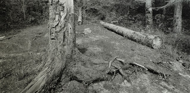 Saginaw Bay, Rainy Lake, Minnesota 2024
