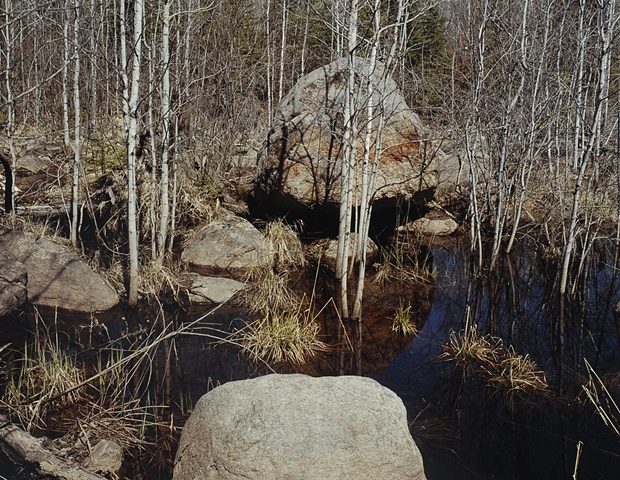 Poplars, North of Babbitt, Minnesota 2002